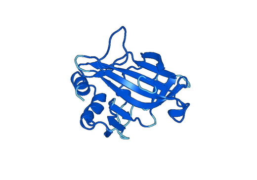 Recombinant Mouse CA9 Protein, N-His