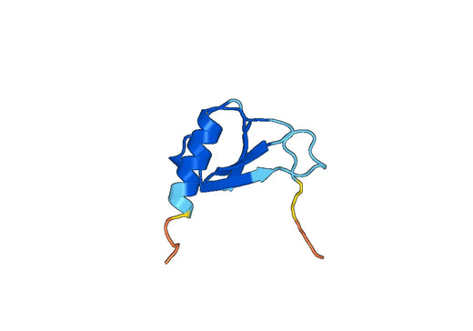 Recombinant Mouse CCL11/Eotaxin Protein, N-His-SUMO