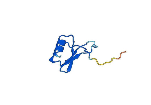 Recombinant Mouse CCL22 Protein, N-His-SUMO