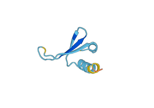 Recombinant Mouse CCL28/MEC Protein, N-His