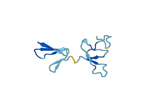 Recombinant Mouse CCN3 Protein, N-His-SUMO