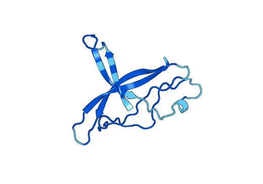Recombinant Mouse CCN4/WISP-1 Protein, N-His-SUMO
