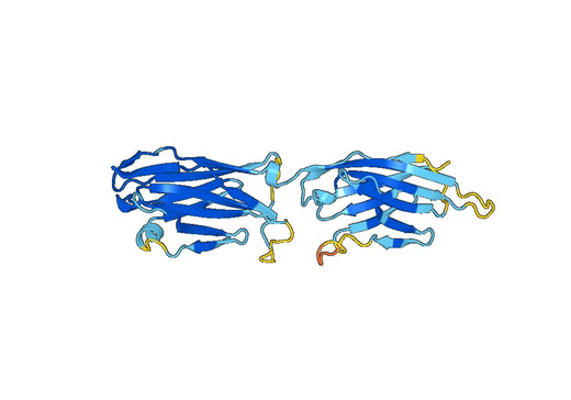 Recombinant Mouse CD101 Protein, N-His