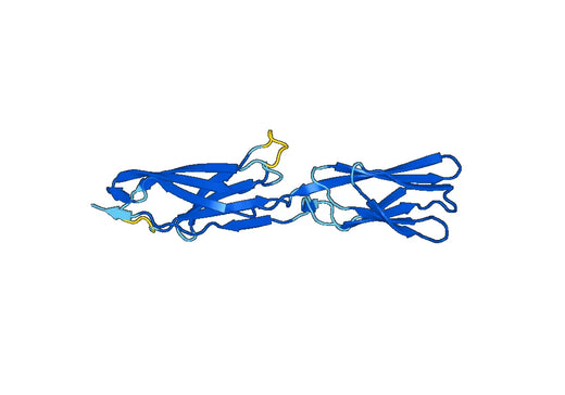 Recombinant Mouse CD102/ICAM2 Protein, N-His