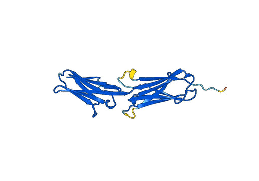 Recombinant Mouse CD106/VCAM1 Protein, N-His