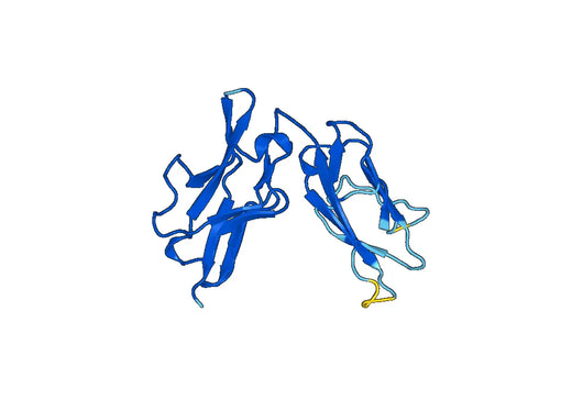 Recombinant Mouse CD115/CSF1R Protein, N-His