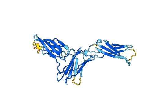 Recombinant Mouse CD116/CSF2RA Protein, N-His