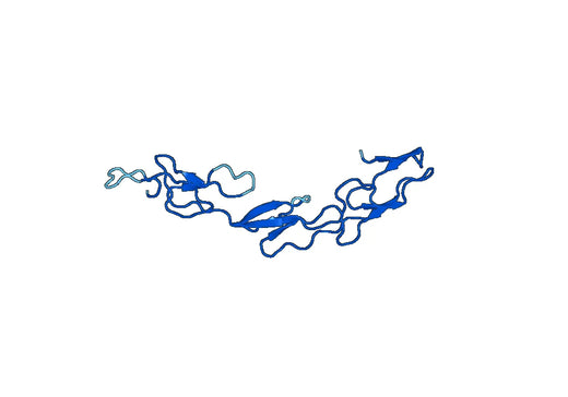 Recombinant Mouse CD120b/TNFRSF1B/TNFR2 Protein, N-His-SUMO
