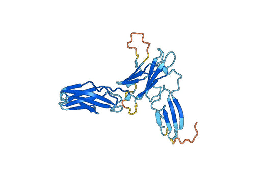 Recombinant Mouse CD123/IL3RA Protein, N-His