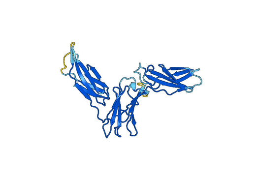 Recombinant Mouse CD125/IL5RA Protein, N-His