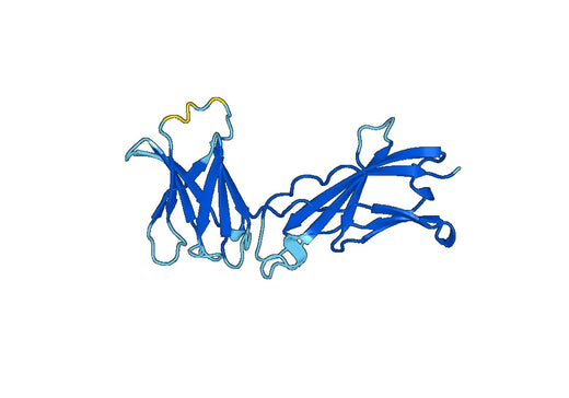 Recombinant Mouse CD127/IL7R Protein, N-His