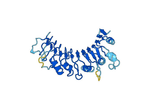 Recombinant Mouse CD14 Protein, N-His