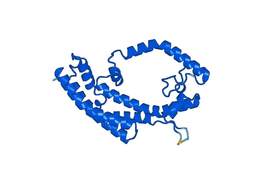 Recombinant Mouse CD143/ACE Protein, N-His