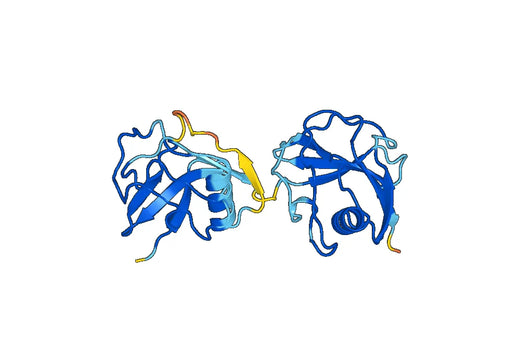 Recombinant Mouse CD163 Protein, N-His