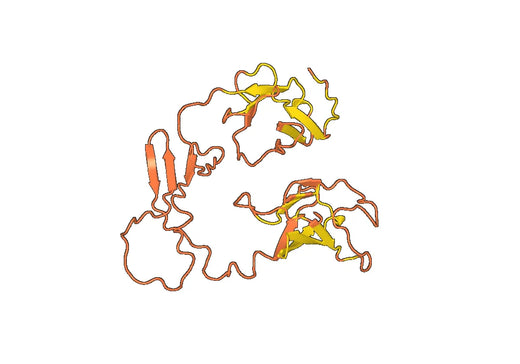 Recombinant Mouse CD19 Protein, N-His
