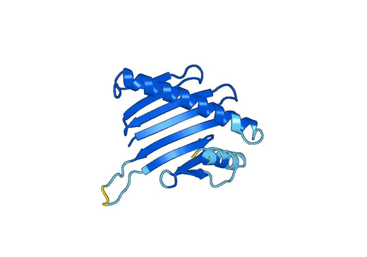 Recombinant Mouse CD201/PROCR/EPCR Protein, N-His