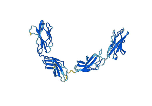 Recombinant Mouse CD202b/TEK/TIE-2 Protein, N-His