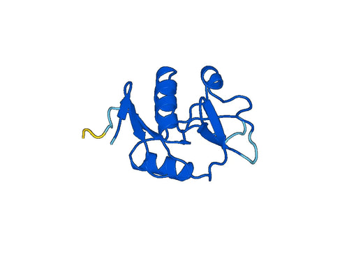 Recombinant Mouse Cd209a Protein, N-GST & C-His