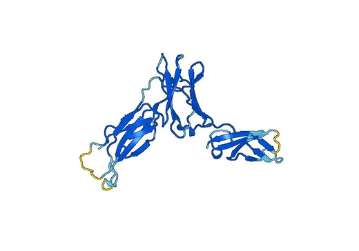 Recombinant Mouse CD213a2/IL13RA2 Protein, N-His
