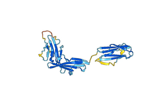 Recombinant Mouse CD218a/IL18R1 Protein, N-His