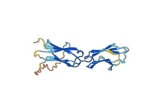 Recombinant Mouse CD22 Protein, N-His