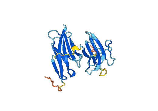 Recombinant Mouse CD226/DNAM-1 Protein, N-His