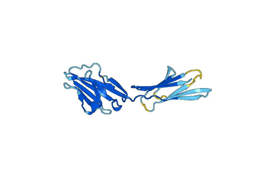 Recombinant Mouse CD244 Protein, N-His