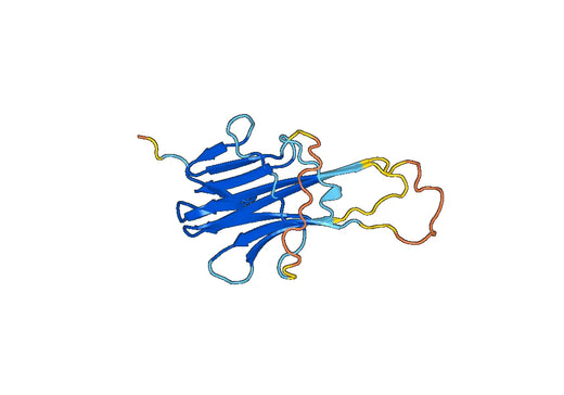 Recombinant Mouse CD253/TNFSF10/TRAIL Protein, N-His