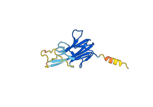 Recombinant Mouse CD258/TNFSF14/LIGHT Protein, N-His