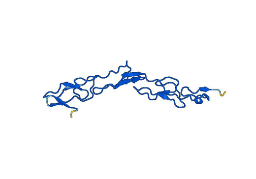 Recombinant Mouse CD265/TNFRSF11A Protein, N-His