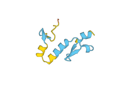 Recombinant Mouse CD267/TNFRSF13B Protein, N-His