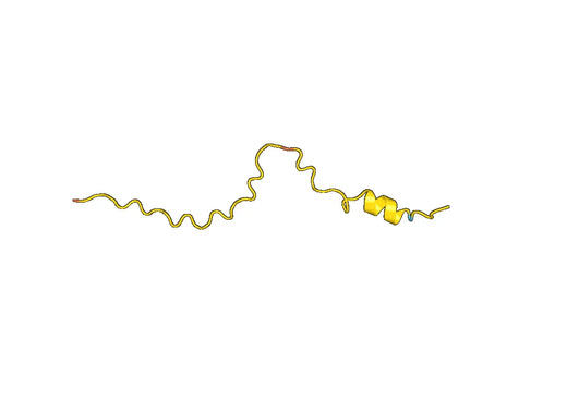 Recombinant Mouse CD268/TNFRSF13C Protein, N-His-SUMO