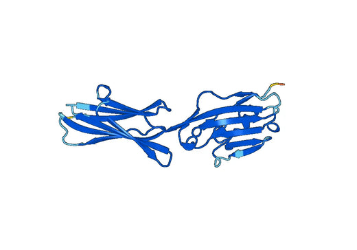 Recombinant Mouse CD276/B7-H3 Protein, N-His