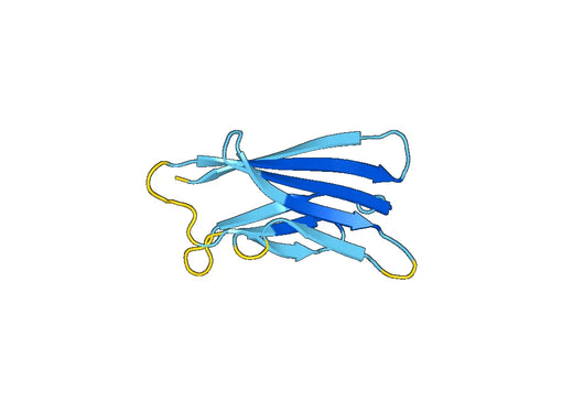 Recombinant Mouse CD278/ICOS Protein, N-His-SUMO