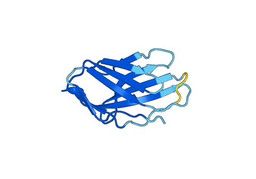 Recombinant Mouse CD28 Protein, N-His-SUMO
