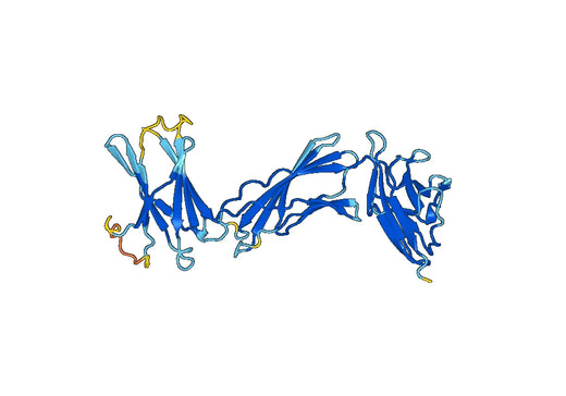 Recombinant Mouse CD295/LEPR Protein, N-His
