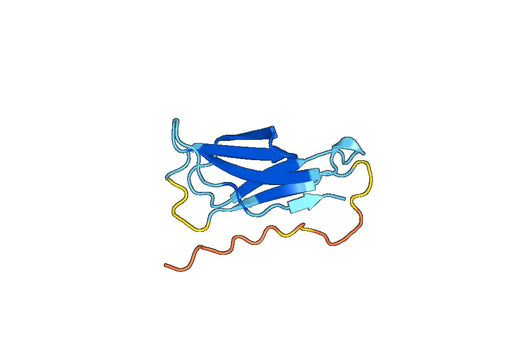 Recombinant Mouse CD305/LAIR1 Protein, N-His-SUMO
