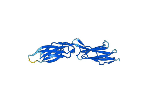 Recombinant Mouse CD31/PECAM1 Protein, N-His