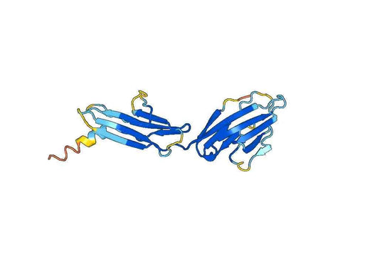 Recombinant Mouse CD319/SLAMF7 Protein, N-His
