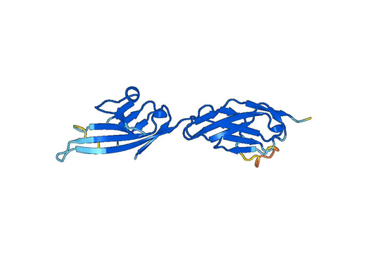 Recombinant Mouse CD322/JAM2 Protein, N-His