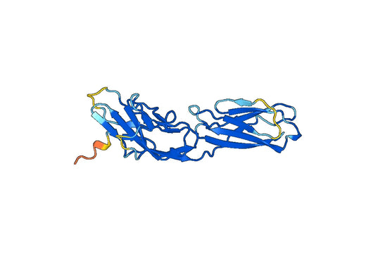 Recombinant Mouse CD33 Protein, N-His