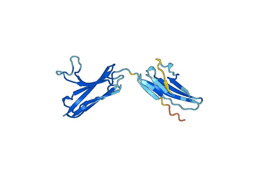 Recombinant Mouse CD333/FGFR3 Protein, N-His