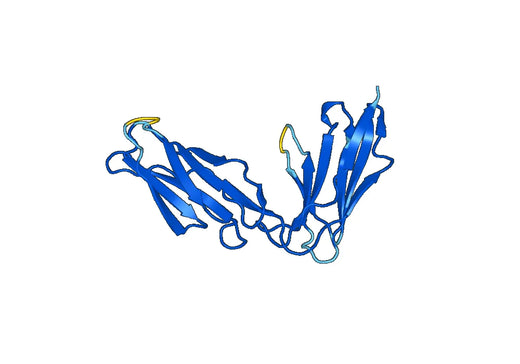 Recombinant Mouse CD335/NCR1/NKp46 Protein, N-His