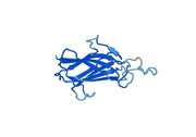 Recombinant Mouse CD339/JAG1 Protein, N-His
