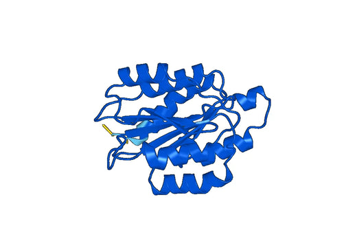 Recombinant Mouse CD49a/ITGA1/VLA-1 Protein, N-His