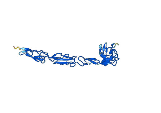 Recombinant Mouse CD62L/SELL Protein, N-His