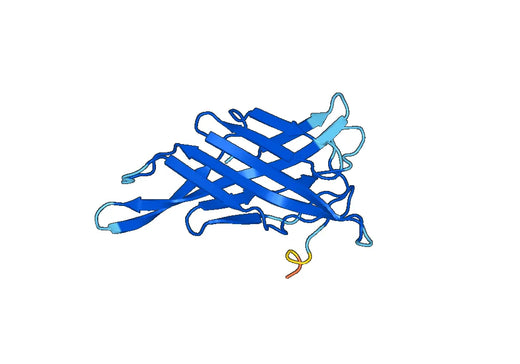 Recombinant Mouse CD68 Protein, N-His