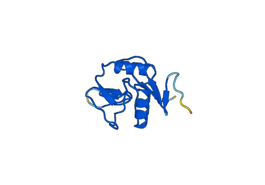 Recombinant Mouse CD69 Protein, N-His-SUMO