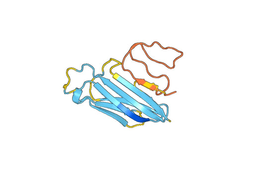 Recombinant Mouse CD70 Protein, N-His