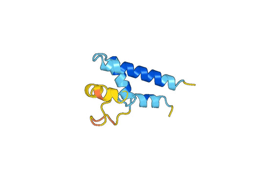 Recombinant Mouse CD81 Protein, N-GST & C-His